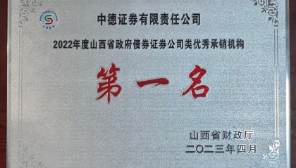 证券公司承销证券(证券公司承销证券业务)