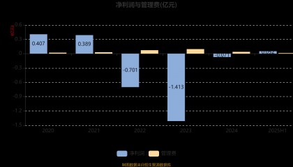 工银国家战略股票2025半年报：上半年盈利524万，净值增2.66%，持仓策略曝光