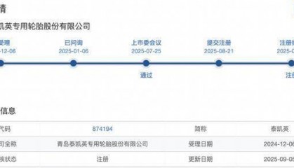泰凯英IPO闪电注册生效：募资缩水49%，招商证券保荐