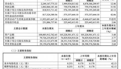 东兴证券半年报：投行修复性反弹，资管显疲态