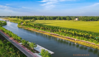 范县人大：聚焦黄河战略 以法治力量绘就高质量发展生态画卷