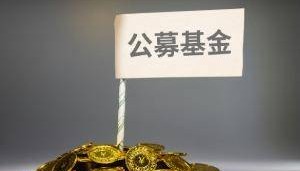 多只权益基金和“固收+”基金净值创新高