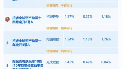 “固收+期权”“黑盒”产品能否突围？