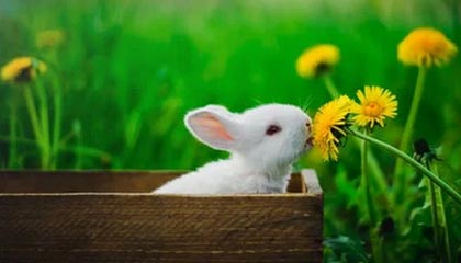 研报掘金丨平安证券:维持江波龙“推荐”评级,盈利水平有望迎来持续改善