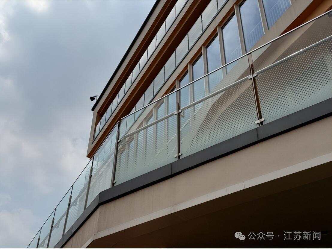 南京一大桥玻璃墙频现撞鸟事件 市民希望能贴上鸟类防撞贴纸