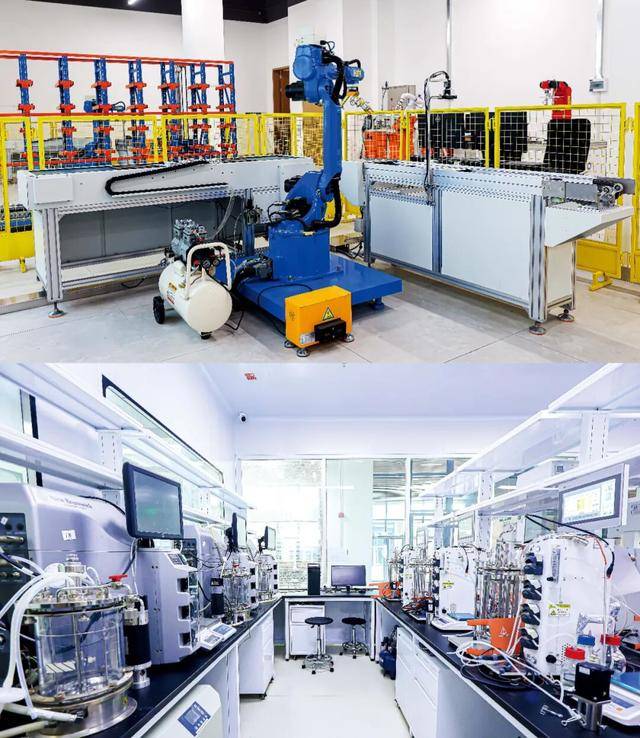 这所新大学,一周只上四天课