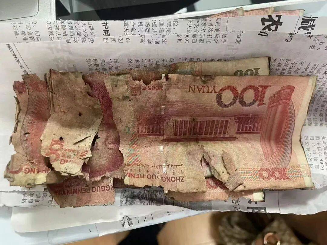 大连一老人将10万元现金埋地下,两年后挖出来一看,蒙了…