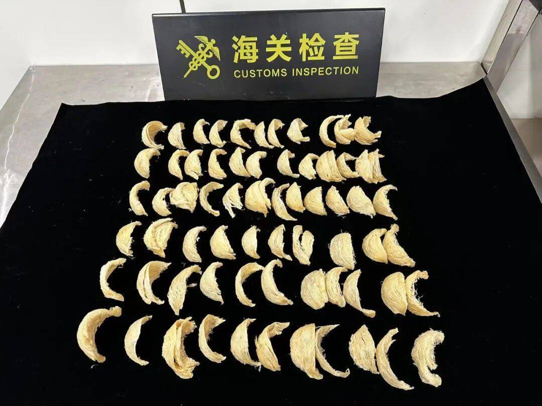 太恶心!女子被查,在打底裤内搜到了用塑料袋包裹的大量食品……