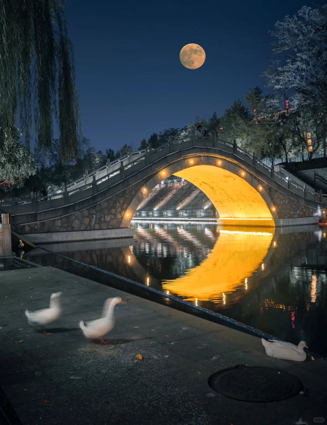 大唐不夜城在西安哪个位置,西安不夜城详细地址揭秘,99游客都走错入口