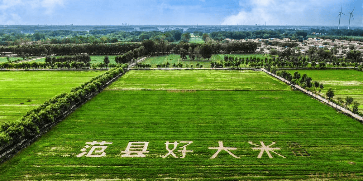 范县人大:聚焦黄河战略 以法治力量绘就高质量发展生态画卷